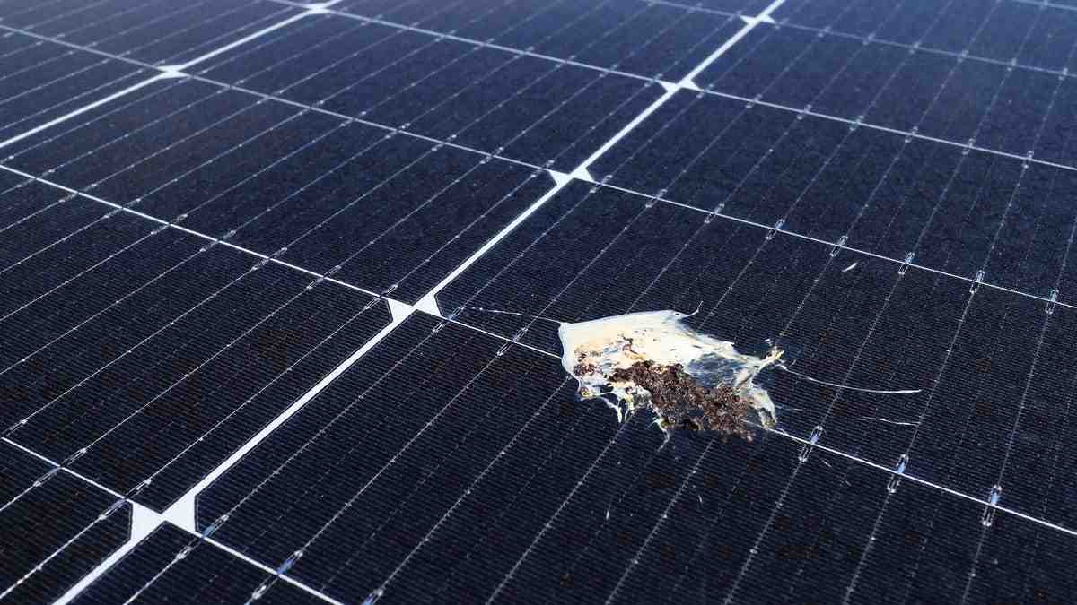 why-solar-energy-is-bad-for-the-environment-solar-energy